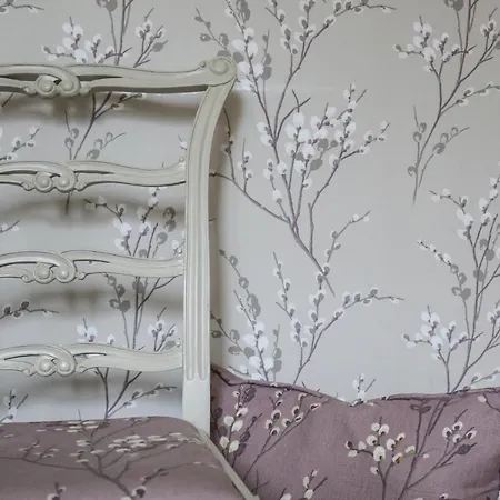 The Black Swan Penzion