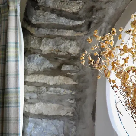 Penzion The Black Swan 4*