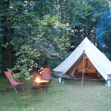 Penzion The Black Swan