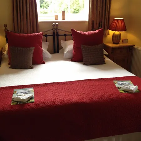 Penzion The Black Swan